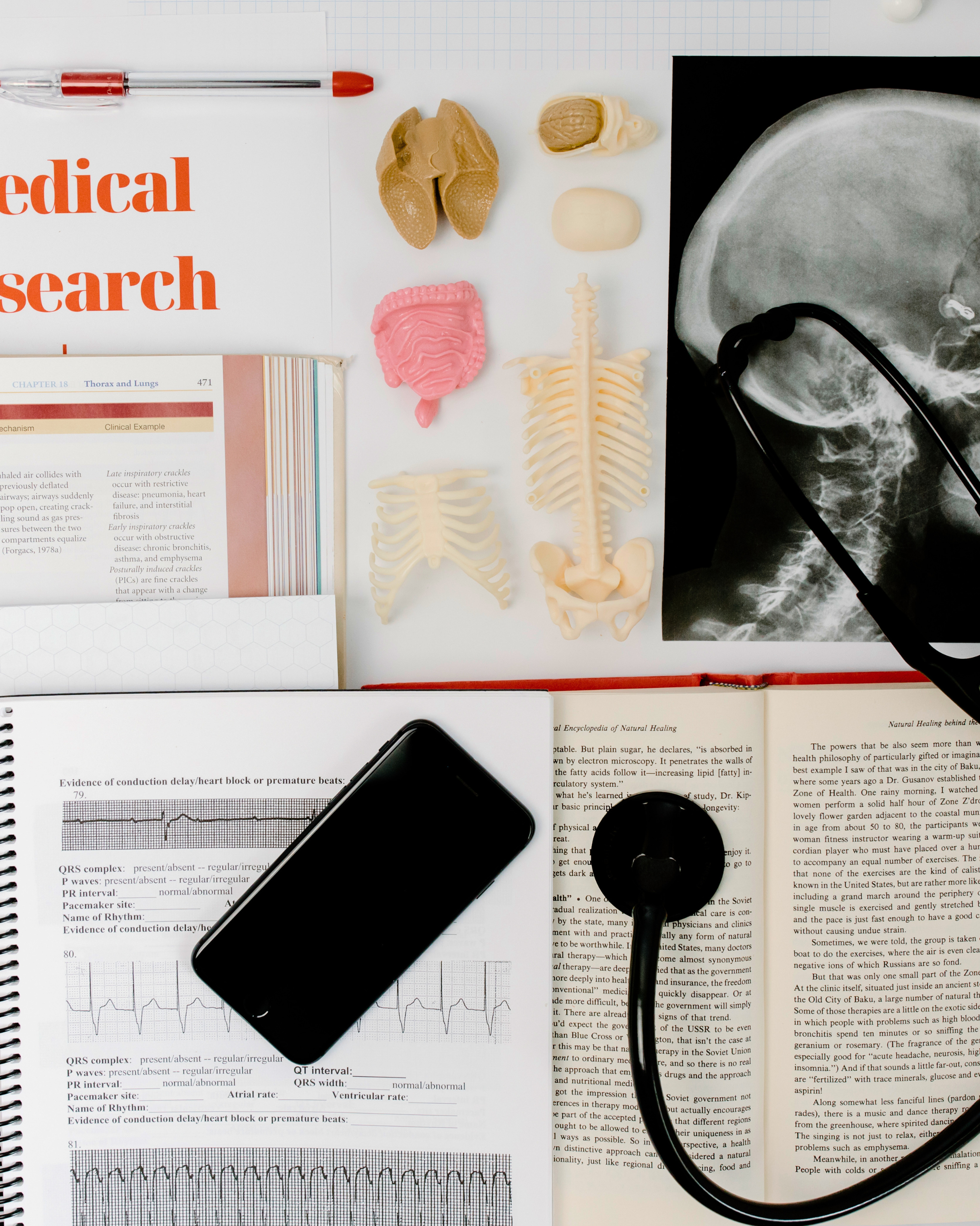 Nursing school survival guide: all you need for success